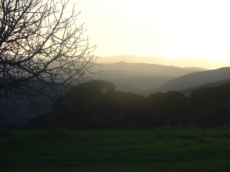 Tramonto colline toscane