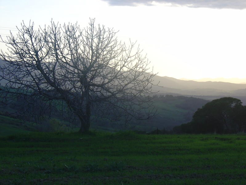 Tramonto colline toscane