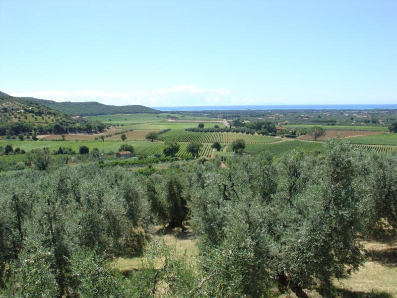 Castagneto Carducci - panorama