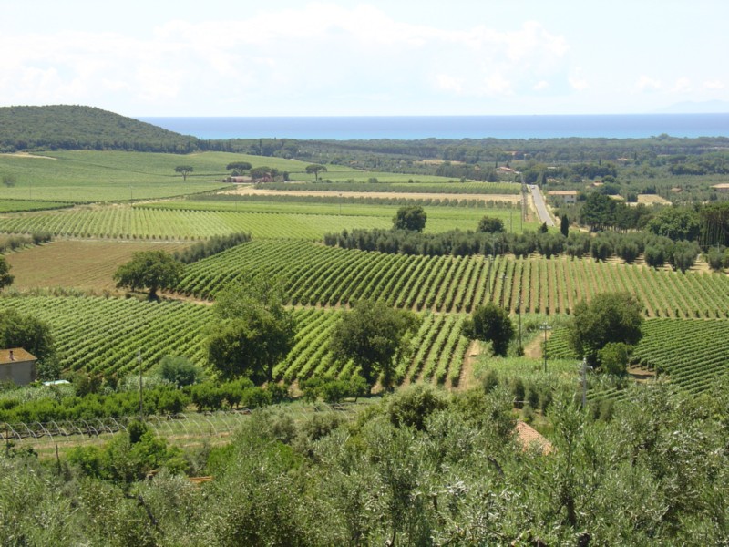 Castagneto Carducci - panorama
