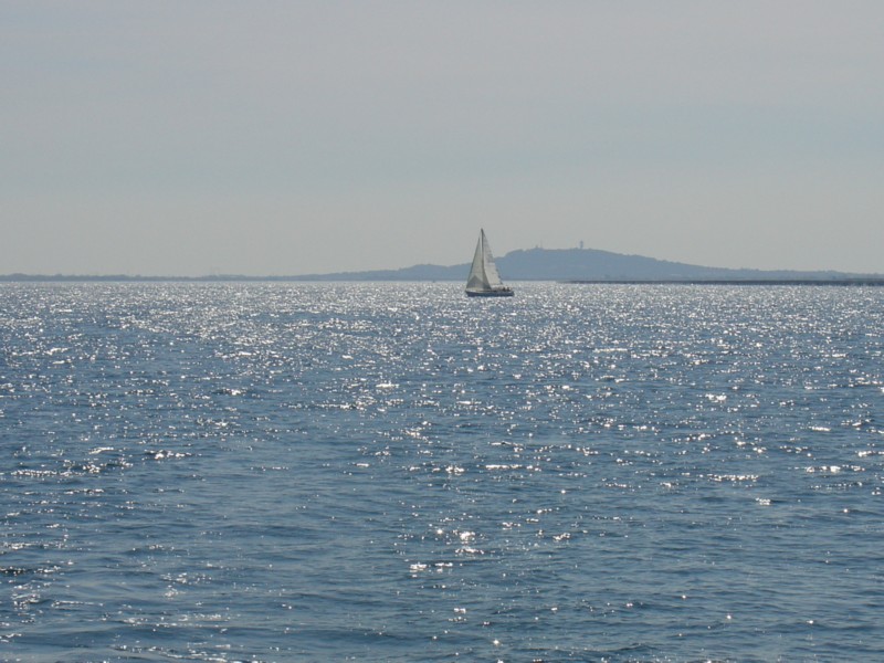 Camargue - Etang de Thau