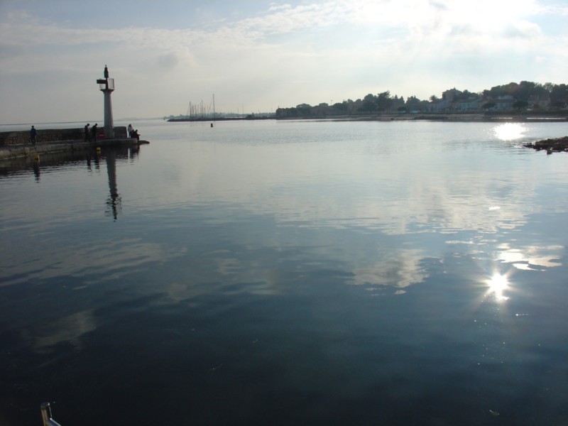 Camargue - Meze