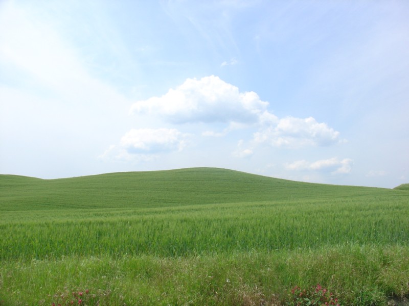 Colline toscane