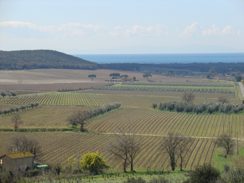 Castagneto Carducci - Panorama