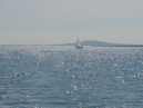 Camargue - Etang de Thau