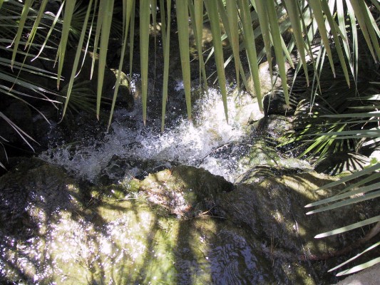 Cagliari - Giardino Botanico 