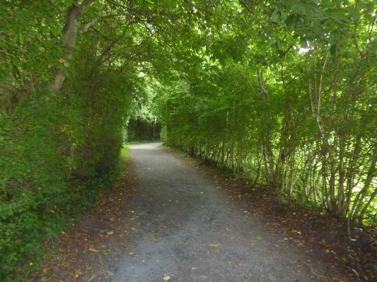 Parco popolare di Bunratty - viale