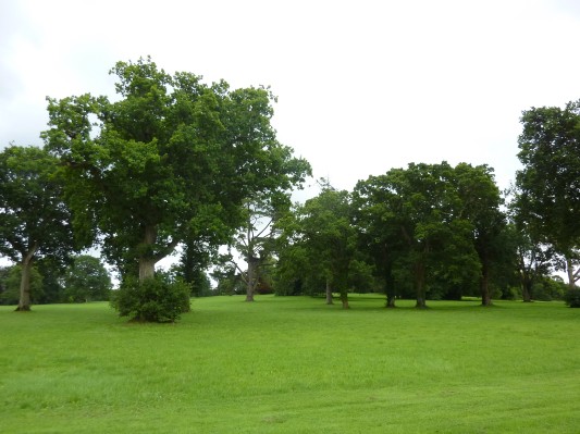 Adare Manor - il parco