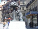 Il simbolo di Madrid - Orso che mangia i frutti del Corbezzolo