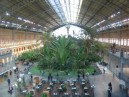 Stazione ferroviaria Atocha - Giardino tropicale