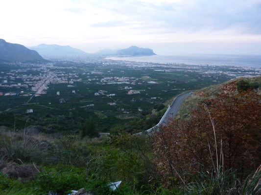 Panorama