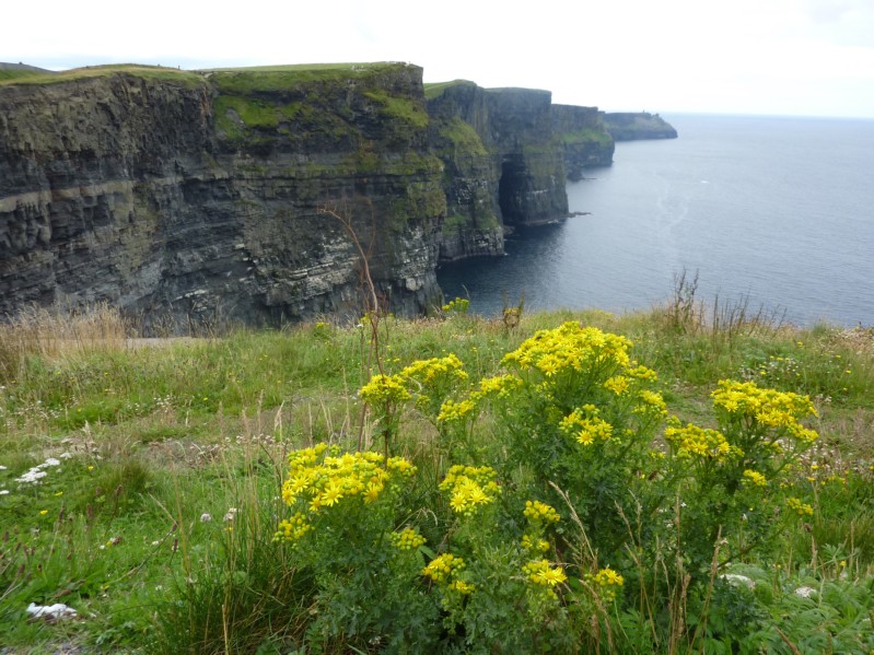 Cliffs of Mohre - Scogliere