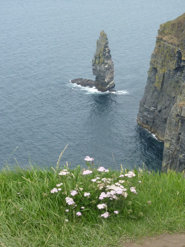 Cliffs of Mohre - scogliere