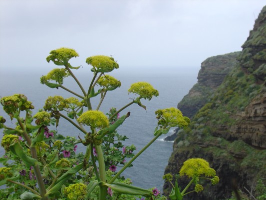 Ventotene