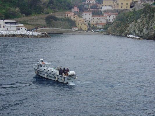 Isola Gorgona