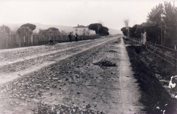Donoratico - Via Aurelia (circa 1928)