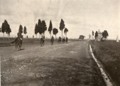 Bolgheri - Via Aurelia (1908)