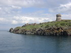 link to large image